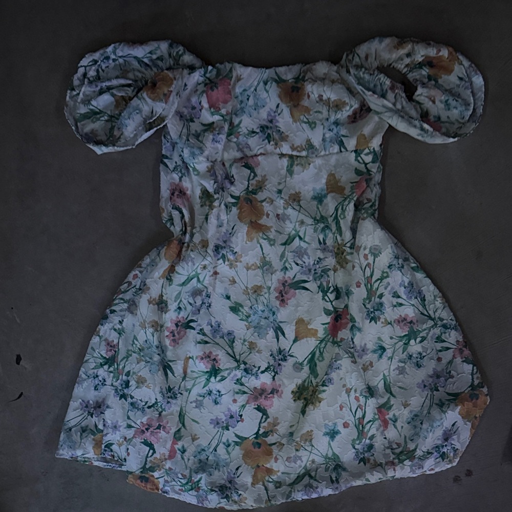 Wild Fable Floral Mini Dress